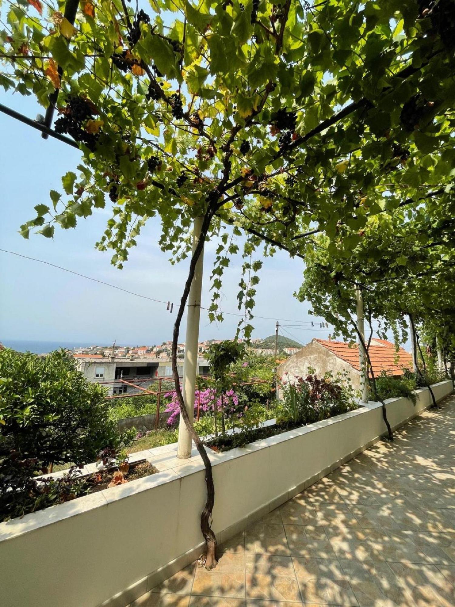 Maison d'hôtes Luce Dubrovnik